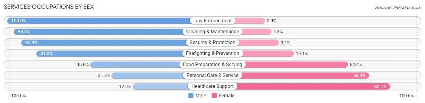Services Occupations by Sex in Zip Code 05819
