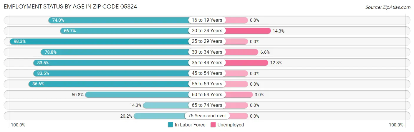Employment Status by Age in Zip Code 05824