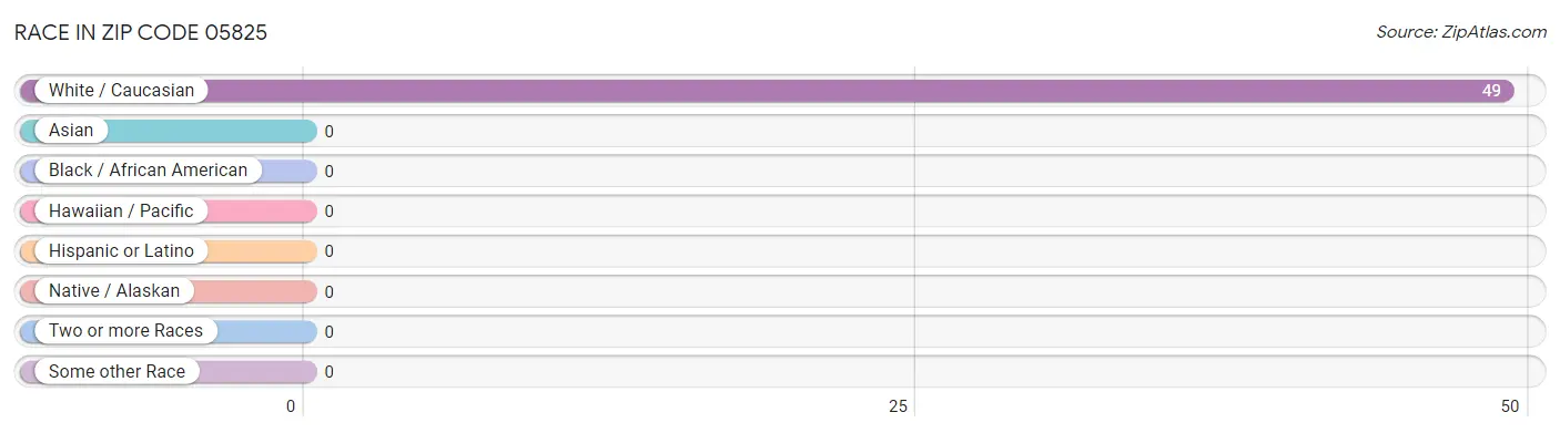 Race in Zip Code 05825