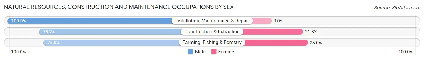 Natural Resources, Construction and Maintenance Occupations by Sex in Zip Code 05828