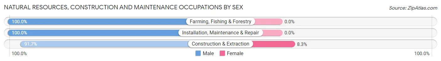 Natural Resources, Construction and Maintenance Occupations by Sex in Zip Code 05829