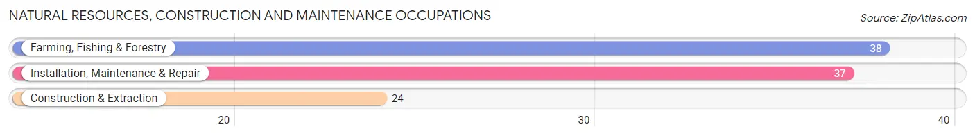 Natural Resources, Construction and Maintenance Occupations in Zip Code 05829