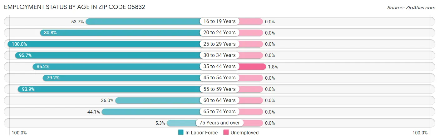 Employment Status by Age in Zip Code 05832