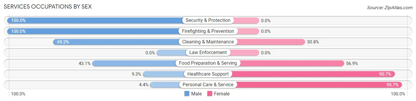 Services Occupations by Sex in Zip Code 05832
