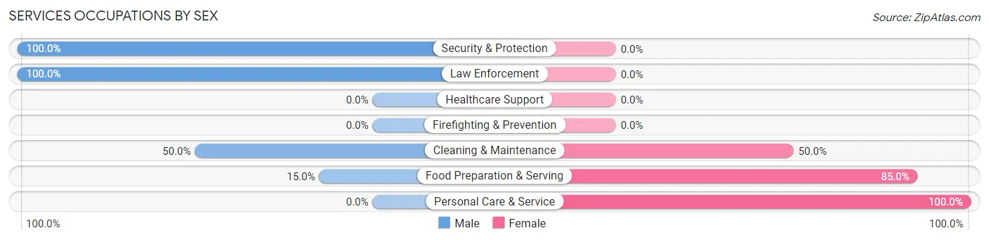 Services Occupations by Sex in Zip Code 05839