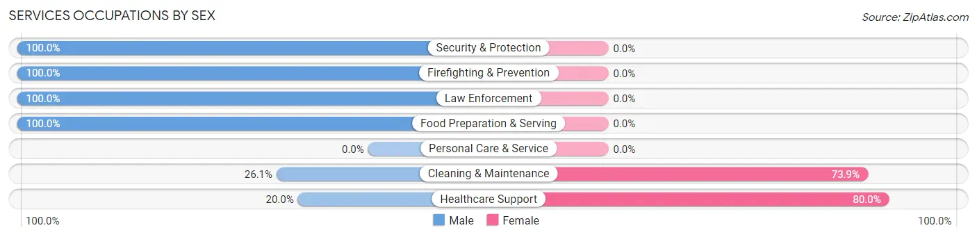 Services Occupations by Sex in Zip Code 05853