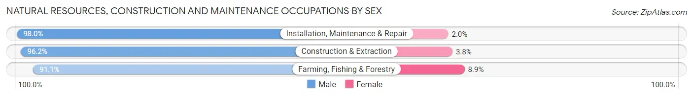 Natural Resources, Construction and Maintenance Occupations by Sex in Zip Code 05855