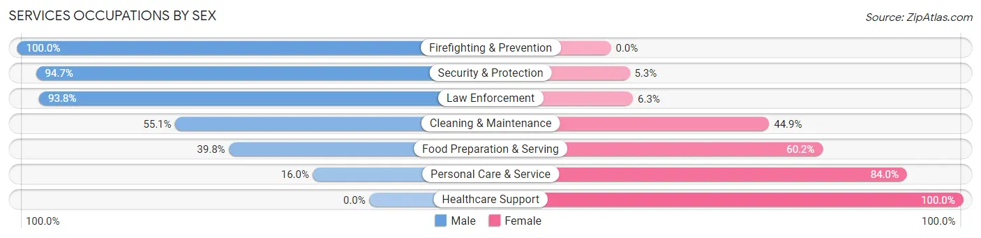 Services Occupations by Sex in Zip Code 05855