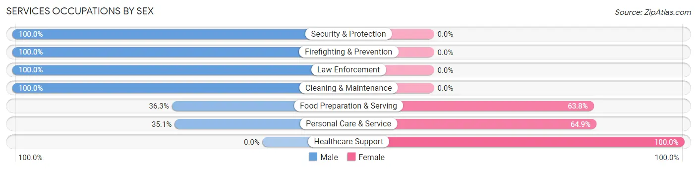 Services Occupations by Sex in Zip Code 05857