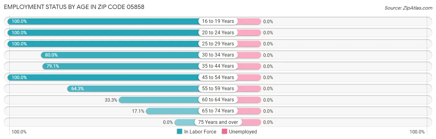 Employment Status by Age in Zip Code 05858