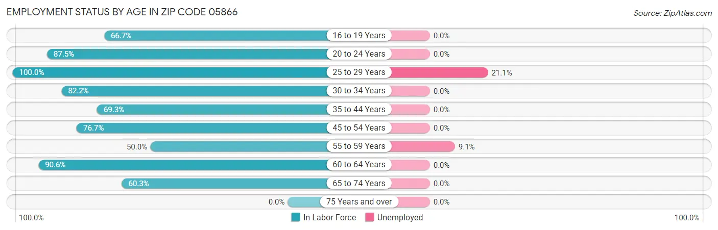 Employment Status by Age in Zip Code 05866