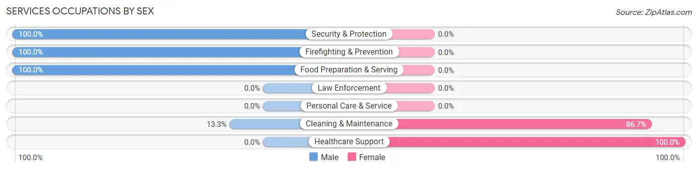 Services Occupations by Sex in Zip Code 05867