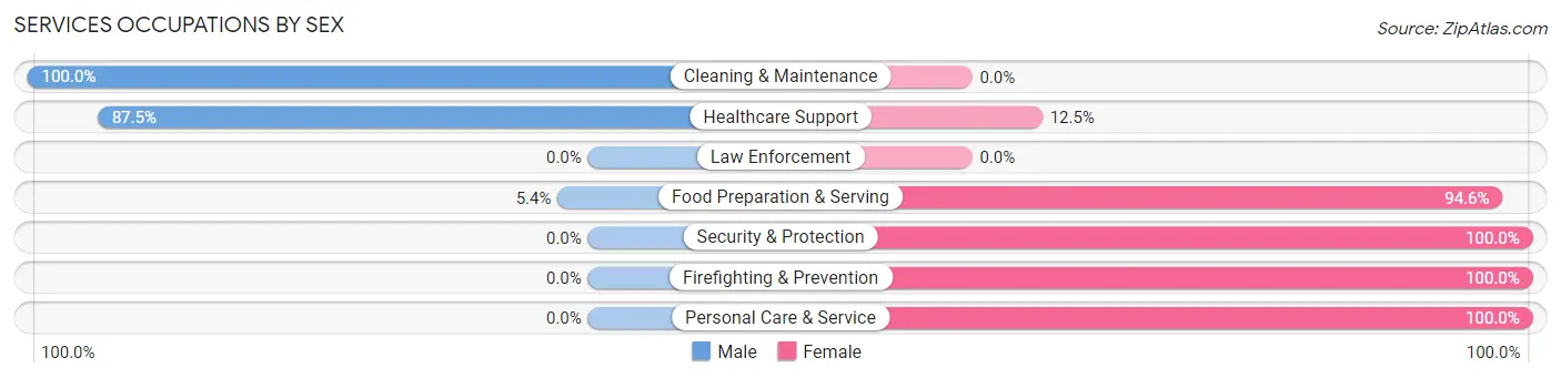 Services Occupations by Sex in Zip Code 05873