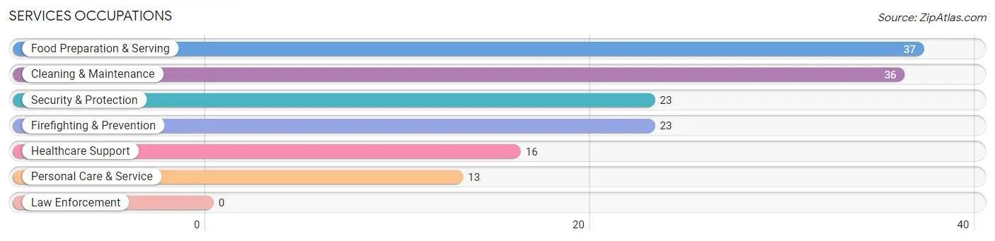 Services Occupations in Zip Code 05873