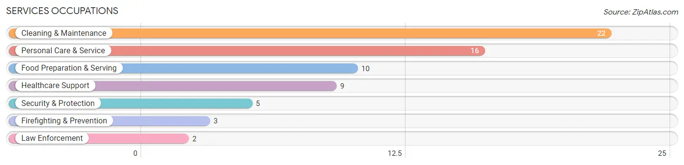 Services Occupations in Zip Code 05874