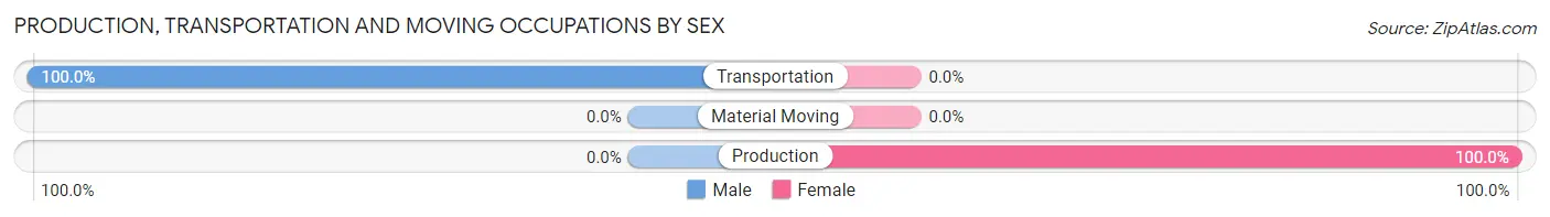 Production, Transportation and Moving Occupations by Sex in Zip Code 05875