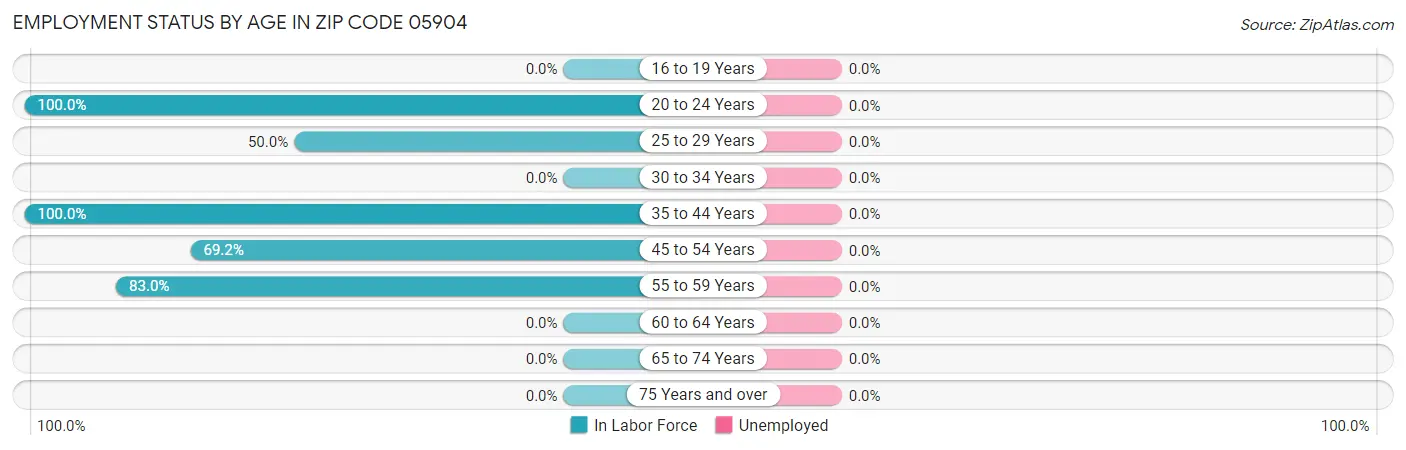 Employment Status by Age in Zip Code 05904