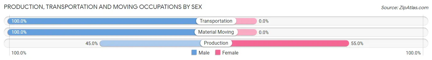 Production, Transportation and Moving Occupations by Sex in Zip Code 05905