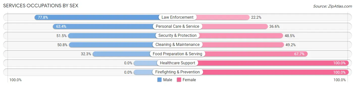 Services Occupations by Sex in Zip Code 06001
