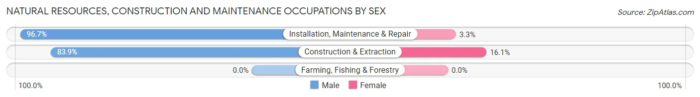 Natural Resources, Construction and Maintenance Occupations by Sex in Zip Code 06002
