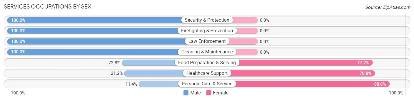 Services Occupations by Sex in Zip Code 06029