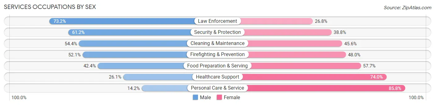 Services Occupations by Sex in Zip Code 06032