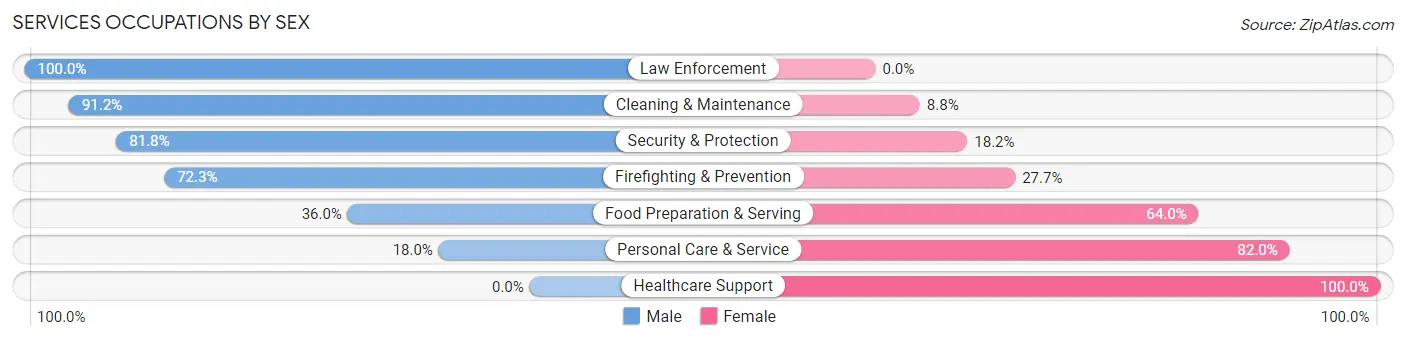 Services Occupations by Sex in Zip Code 06033