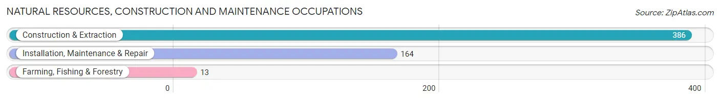 Natural Resources, Construction and Maintenance Occupations in Zip Code 06067