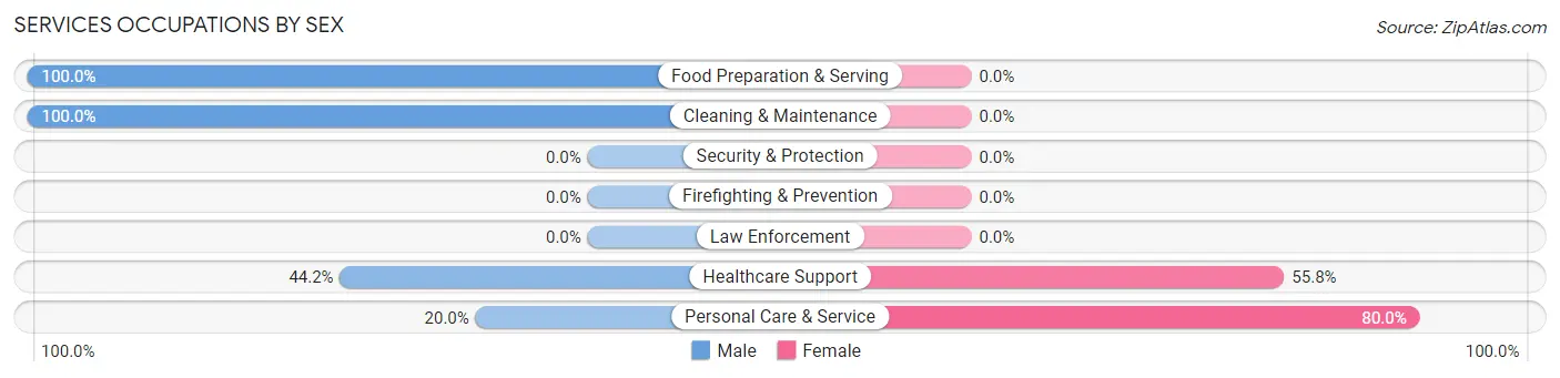 Services Occupations by Sex in Zip Code 06069
