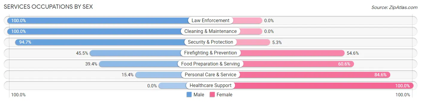 Services Occupations by Sex in Zip Code 06071