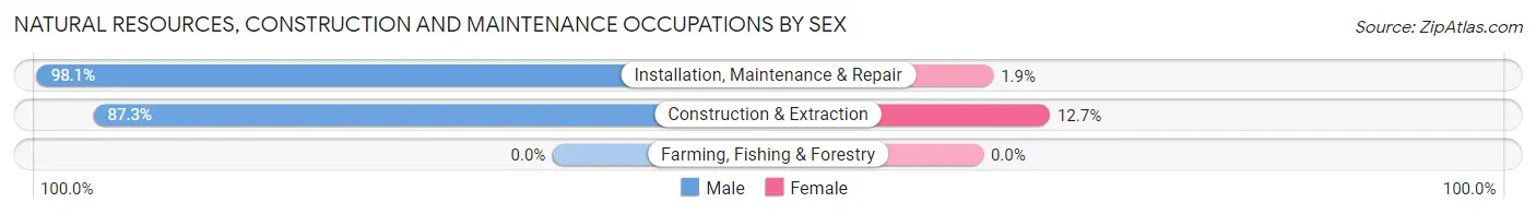 Natural Resources, Construction and Maintenance Occupations by Sex in Zip Code 06074