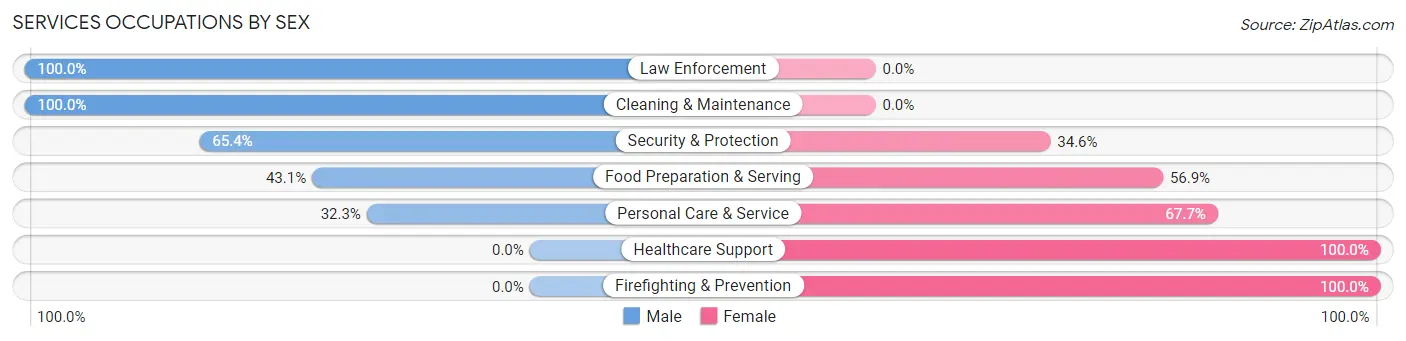 Services Occupations by Sex in Zip Code 06078