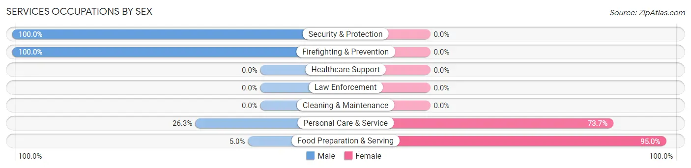 Services Occupations by Sex in Zip Code 06081