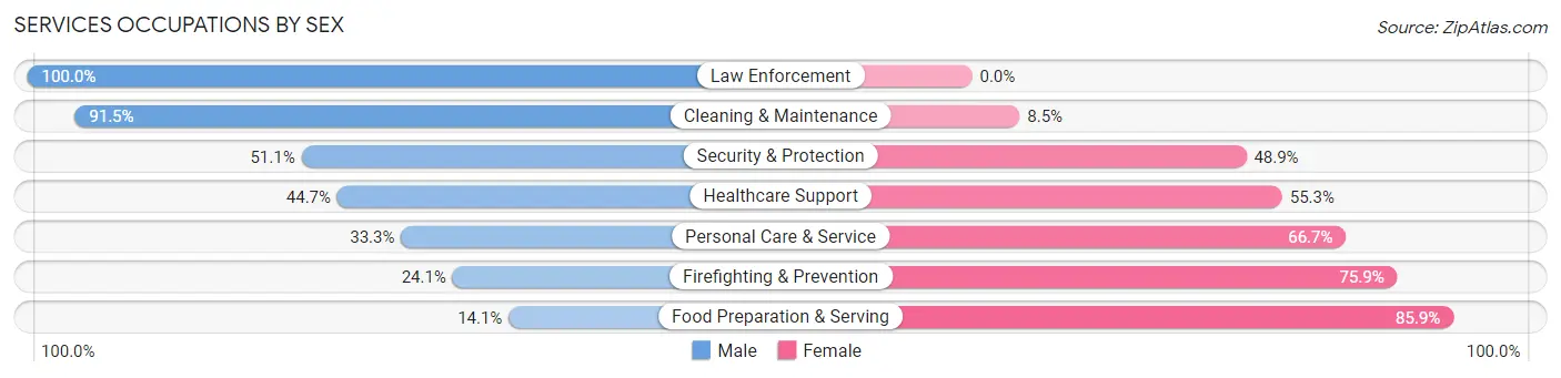 Services Occupations by Sex in Zip Code 06085