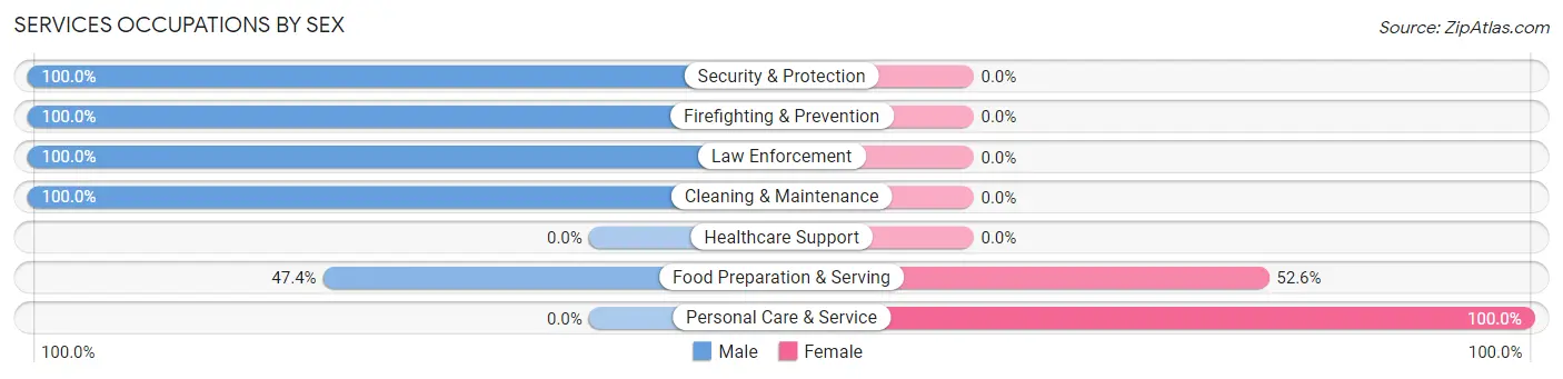 Services Occupations by Sex in Zip Code 06089