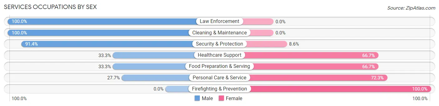 Services Occupations by Sex in Zip Code 06093