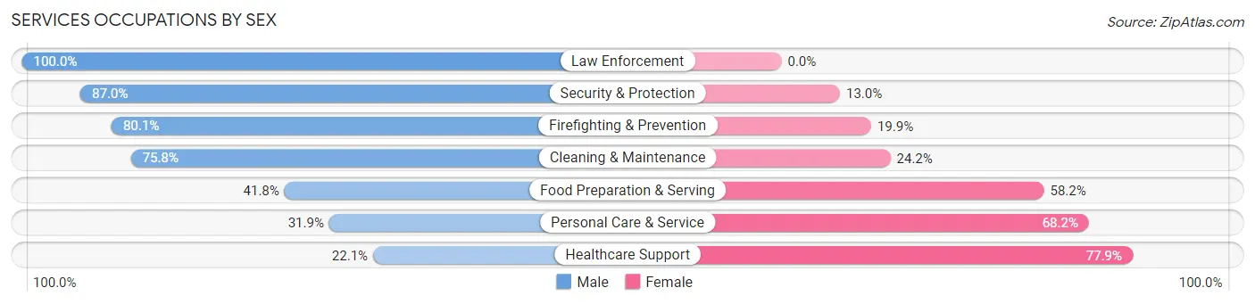 Services Occupations by Sex in Zip Code 06095