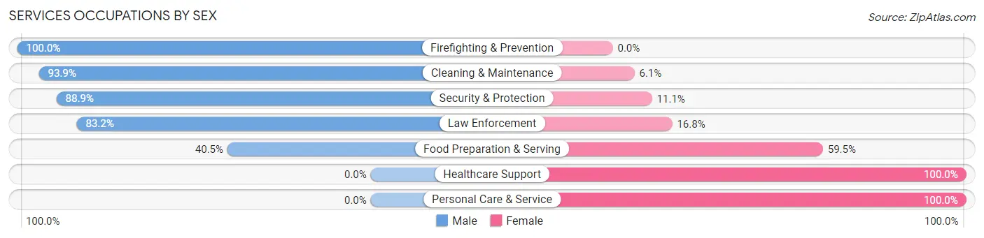 Services Occupations by Sex in Zip Code 06096