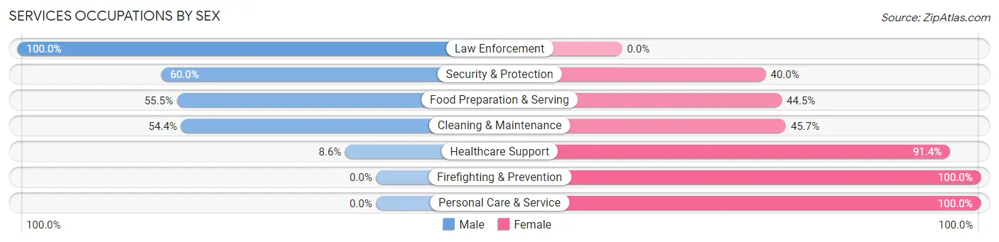Services Occupations by Sex in Zip Code 06105