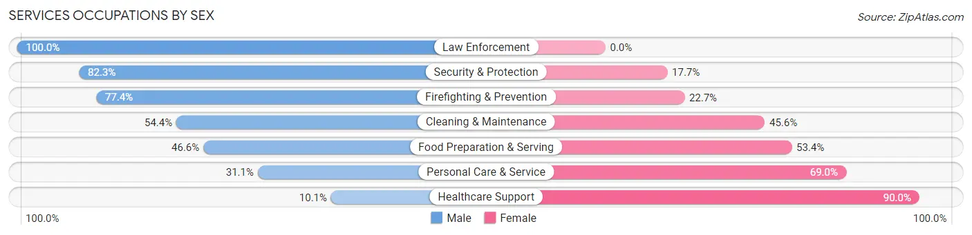 Services Occupations by Sex in Zip Code 06106