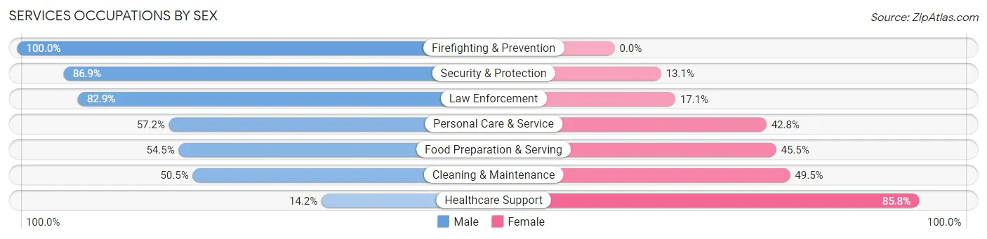 Services Occupations by Sex in Zip Code 06108