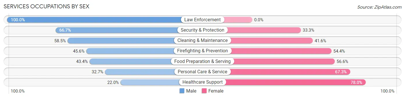 Services Occupations by Sex in Zip Code 06109