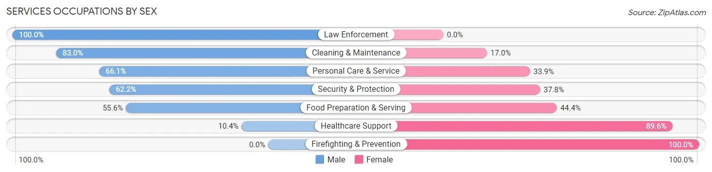 Services Occupations by Sex in Zip Code 06110