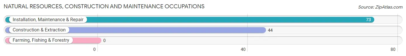 Natural Resources, Construction and Maintenance Occupations in Zip Code 06117