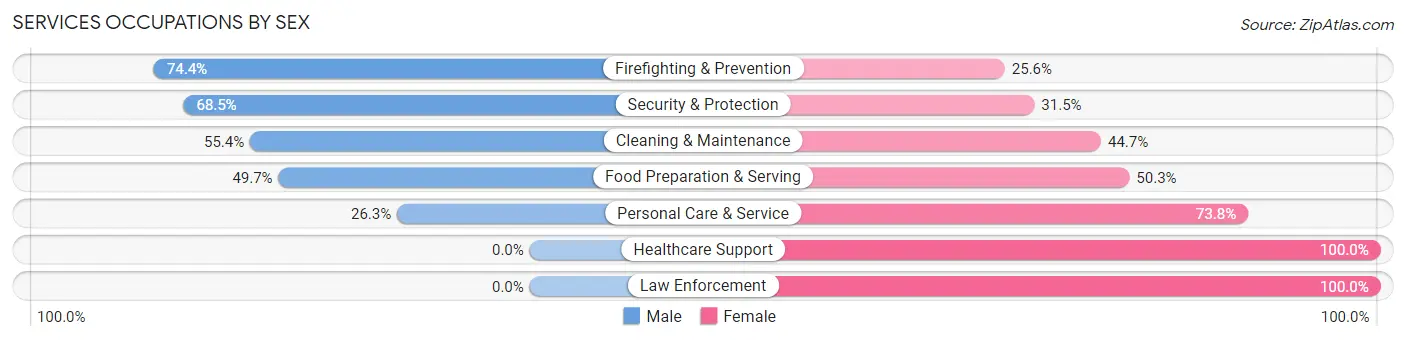 Services Occupations by Sex in Zip Code 06119