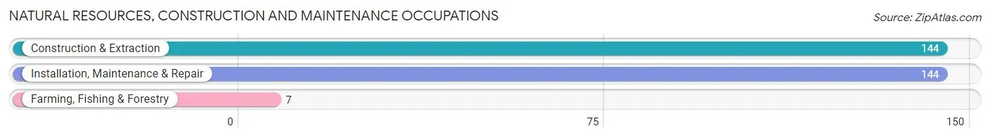 Natural Resources, Construction and Maintenance Occupations in Zip Code 06120