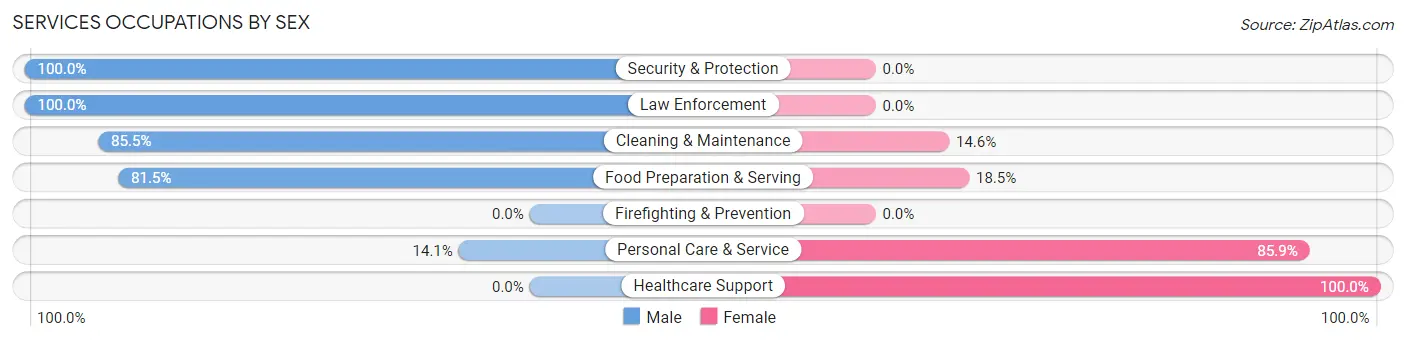 Services Occupations by Sex in Zip Code 06237