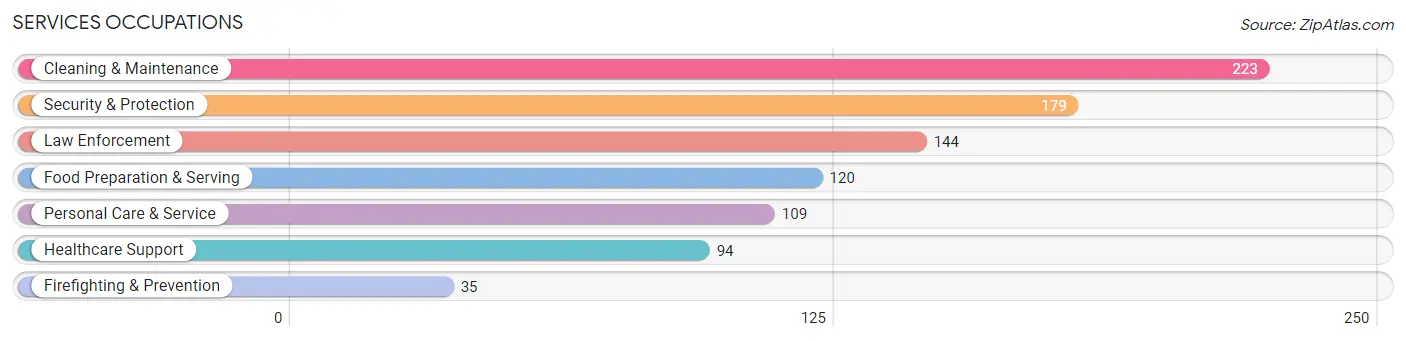 Services Occupations in Zip Code 06241