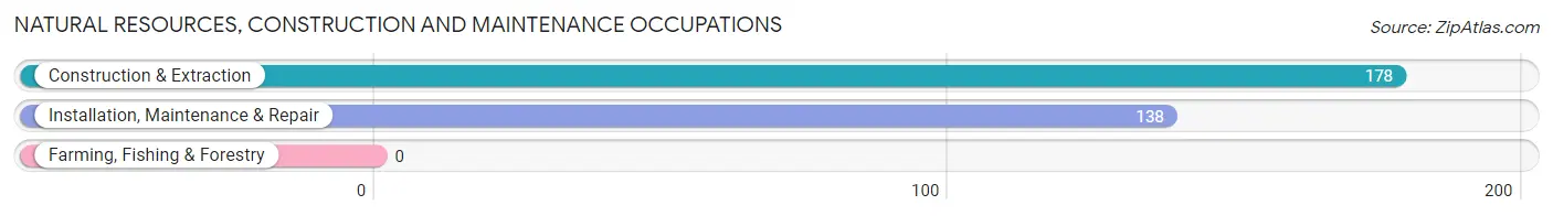 Natural Resources, Construction and Maintenance Occupations in Zip Code 06248