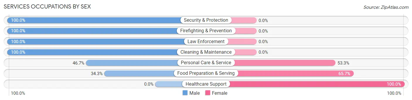 Services Occupations by Sex in Zip Code 06255